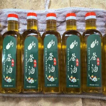 山茶油野生山茶油一手货源价钱实惠批发零售