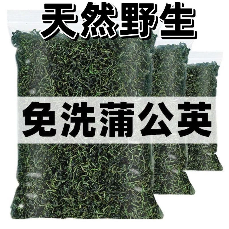 蒲公英叶茶天然野生婆婆丁包邮代发可搭菊花金银花非整颗