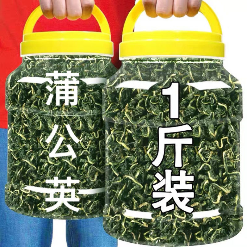 蒲公英叶茶天然野生婆婆丁包邮代发可搭菊花金银花非整颗