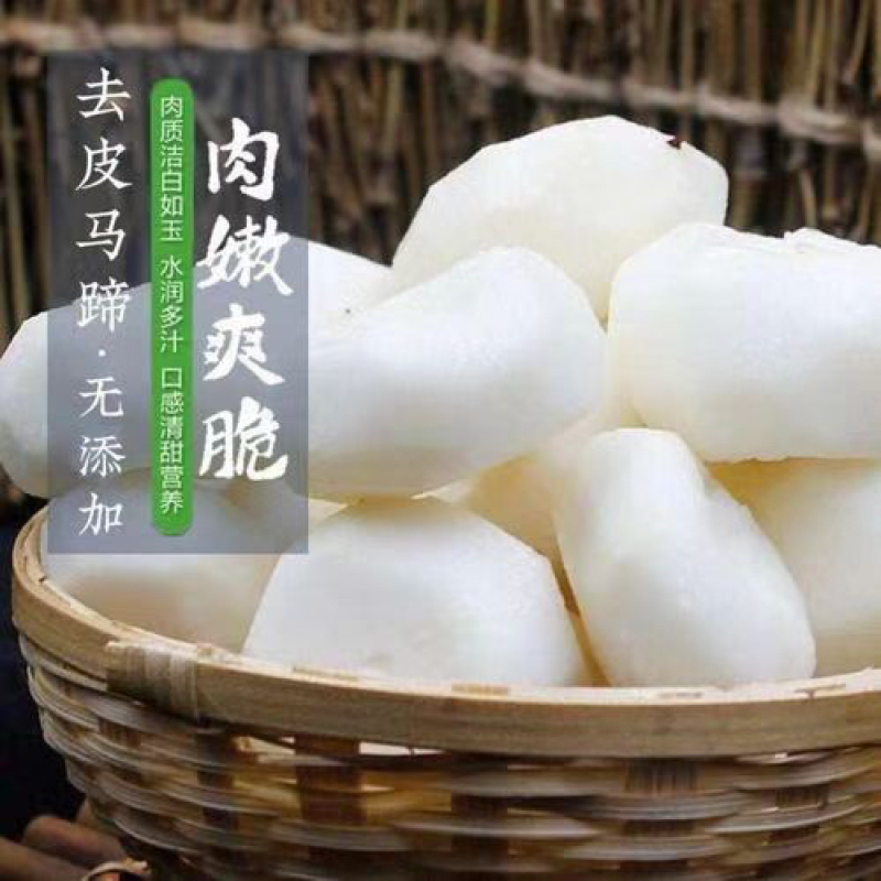 广西荸荠白马蹄大量现货去皮马蹄质量保证欢迎咨询