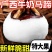 全白荸荠（白马蹄）日产万斤欢迎全国客商来电咨询
