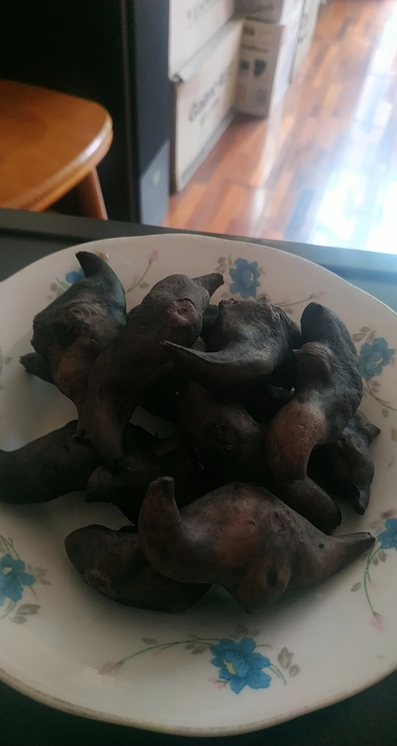 当季现货菱角新鲜批发价老菱角黑菱角棱角凌角水果零食多规格