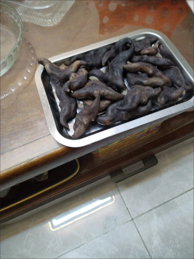 当季现货菱角新鲜批发价老菱角黑菱角棱角凌角水果零食多规格