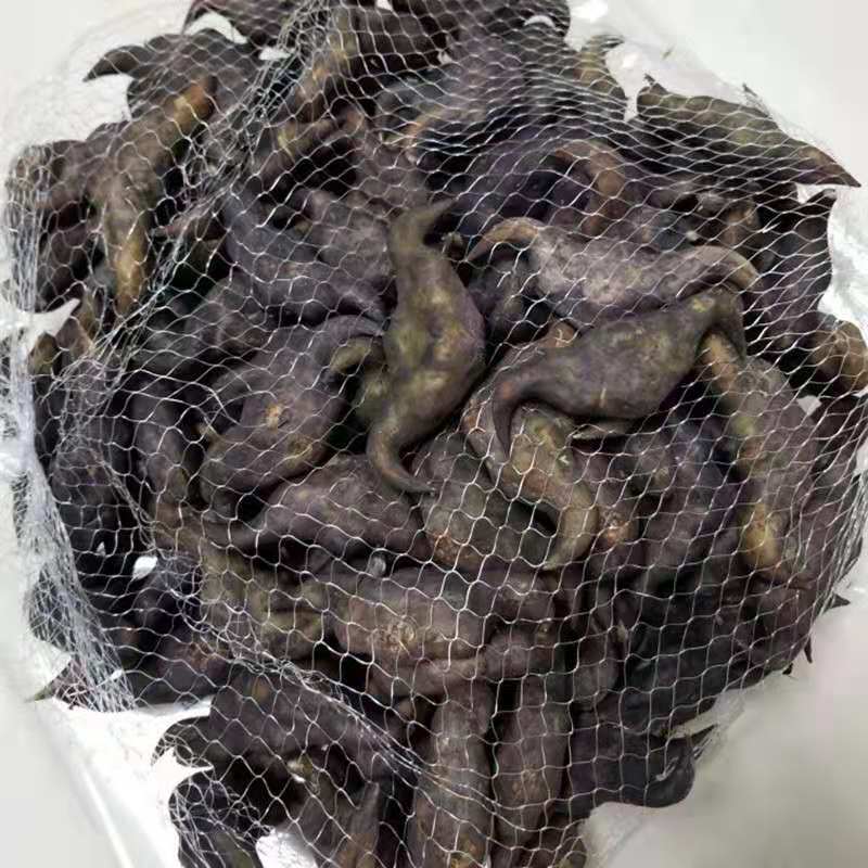 当季现货菱角新鲜批发价老菱角黑菱角棱角凌角水果零食多规格