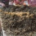 【精品】梅干菜大量现货供应手工筛选无沙无尘欢迎来电咨询