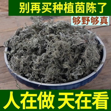 茵陈，三月前，采收头茬野生茵陈