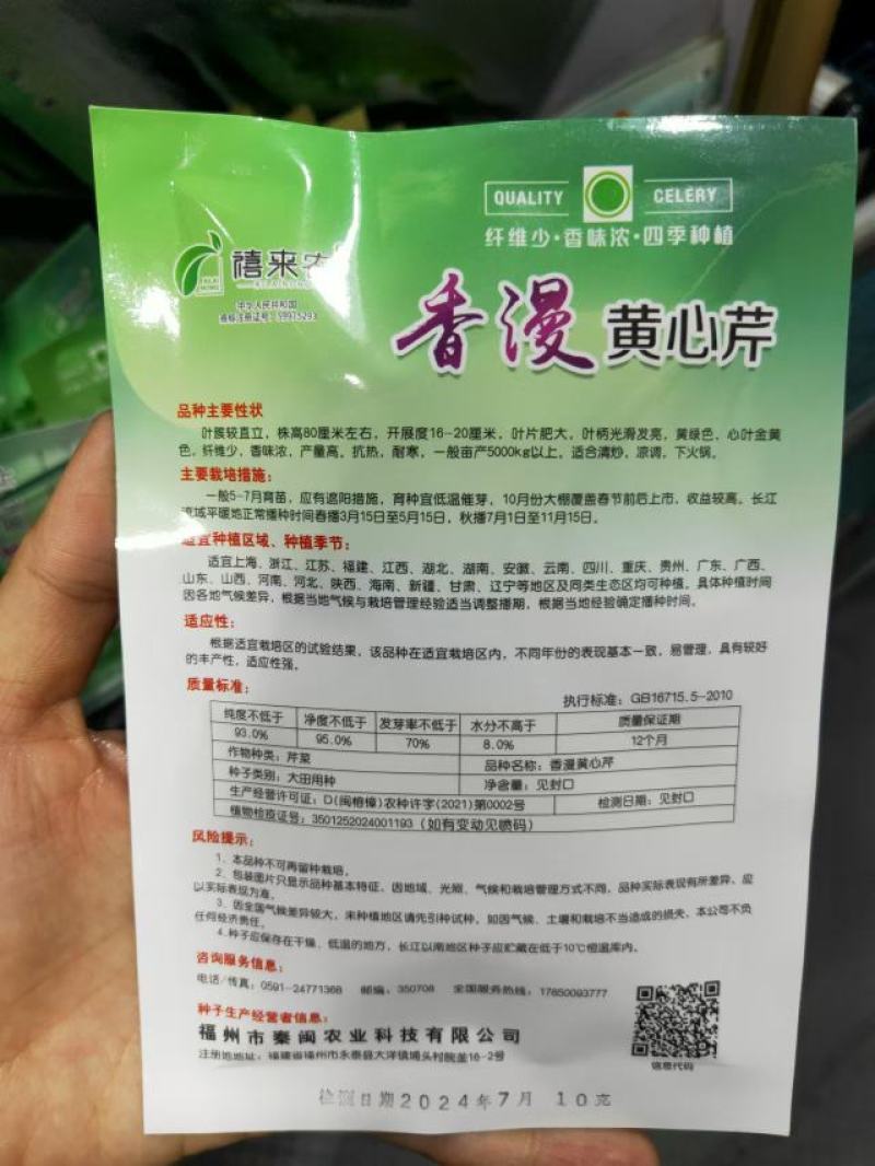翡翠黄空心芹菜种子黄心芹菜种籽小香芹黄嫩西芹春秋蔬菜