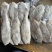 马面鱼300/500。340一件9.3公斤