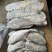 马面鱼300/500。340一件9.3公斤