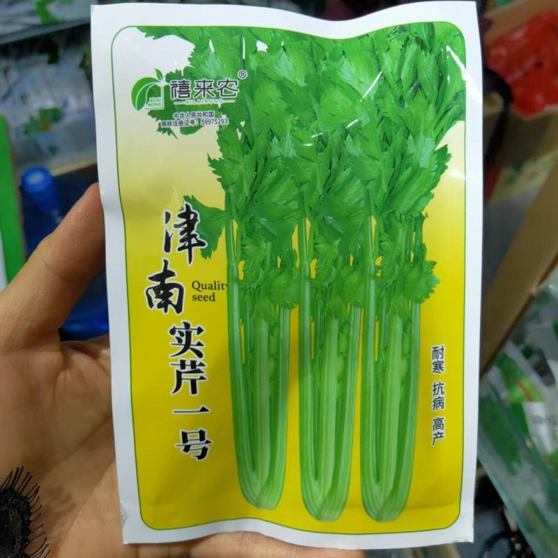 芹菜种子津南实芹1号芹菜种子实心芹菜庭院农户大田蔬菜种子