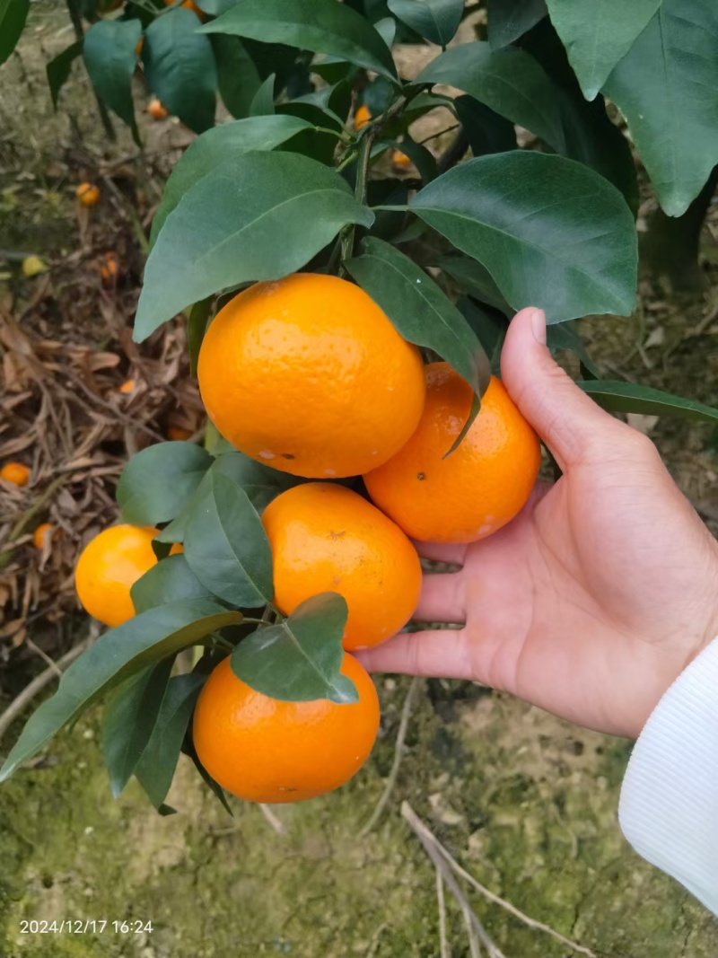 成色很好，有需要的联系我