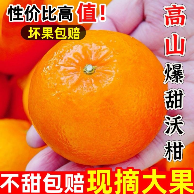 【新鲜现摘】正宗广西武鸣沃柑2024应季新鲜甜水果橘子桔子