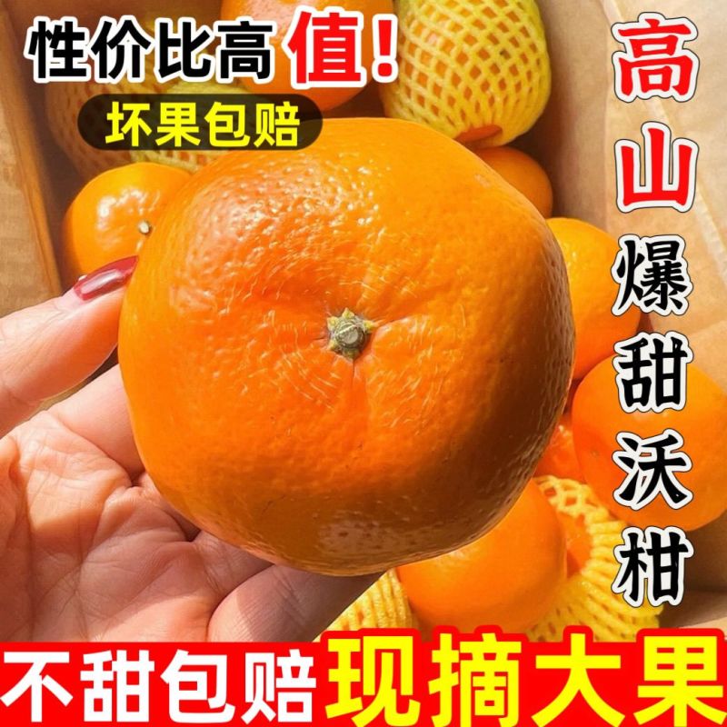 【新鲜现摘】正宗广西武鸣沃柑2024应季新鲜甜水果橘子桔子