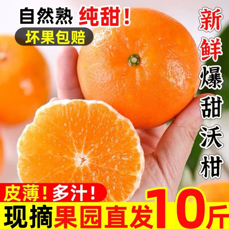 【新鲜现摘】正宗广西武鸣沃柑2024应季新鲜甜水果橘子桔子