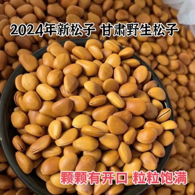 2025年甘肃陇南野生华山开口松子新货，批发零售