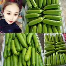 西葫芦绿皮西葫芦颜色绿四两起步一条龙服务可代收代发货欢迎