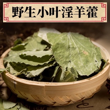 淫羊藿，大叶淫羊藿，小叶淫羊藿，大山采挖纯野生