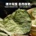 淫羊藿，大叶淫羊藿，小叶淫羊藿，大山采挖纯野生