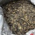 陈皮龙珠白茶8年陈老白茶传统手工茶白茶核心直供优选日晒
