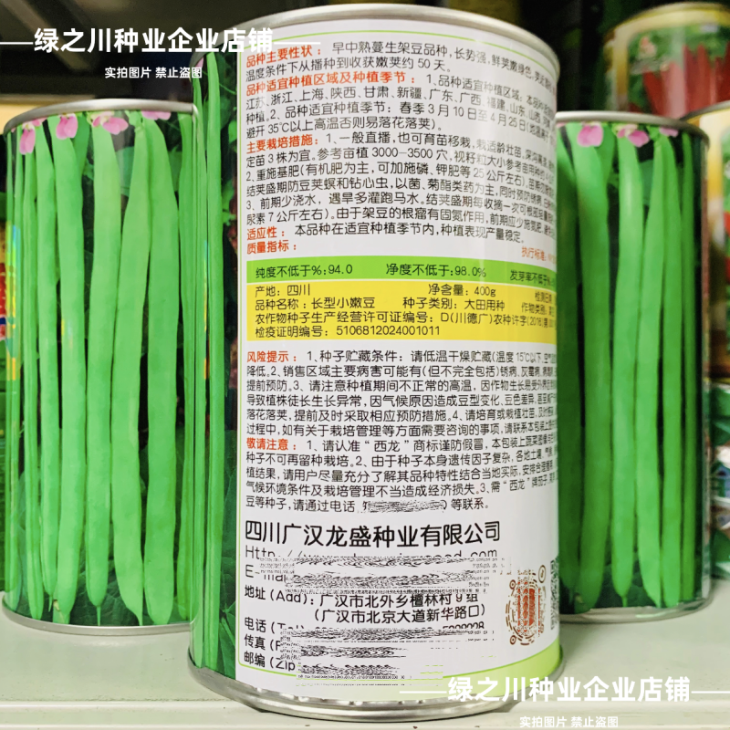 加长型小嫩豆种子无筋架豆种子四季豆特长小金豆种子高产豆角