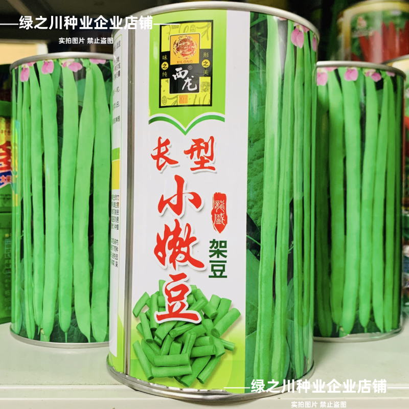 加长型小嫩豆种子无筋架豆种子四季豆特长小金豆种子高产豆角