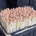 东莞精品花生芽苗菜生产基地按需生产量大从优欢迎来电订购