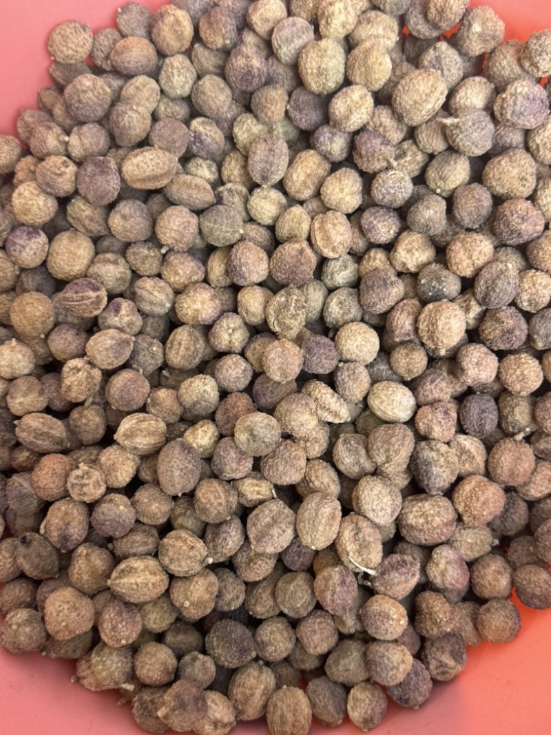 阳春砂仁干货批发零售各种规格，质量很好……