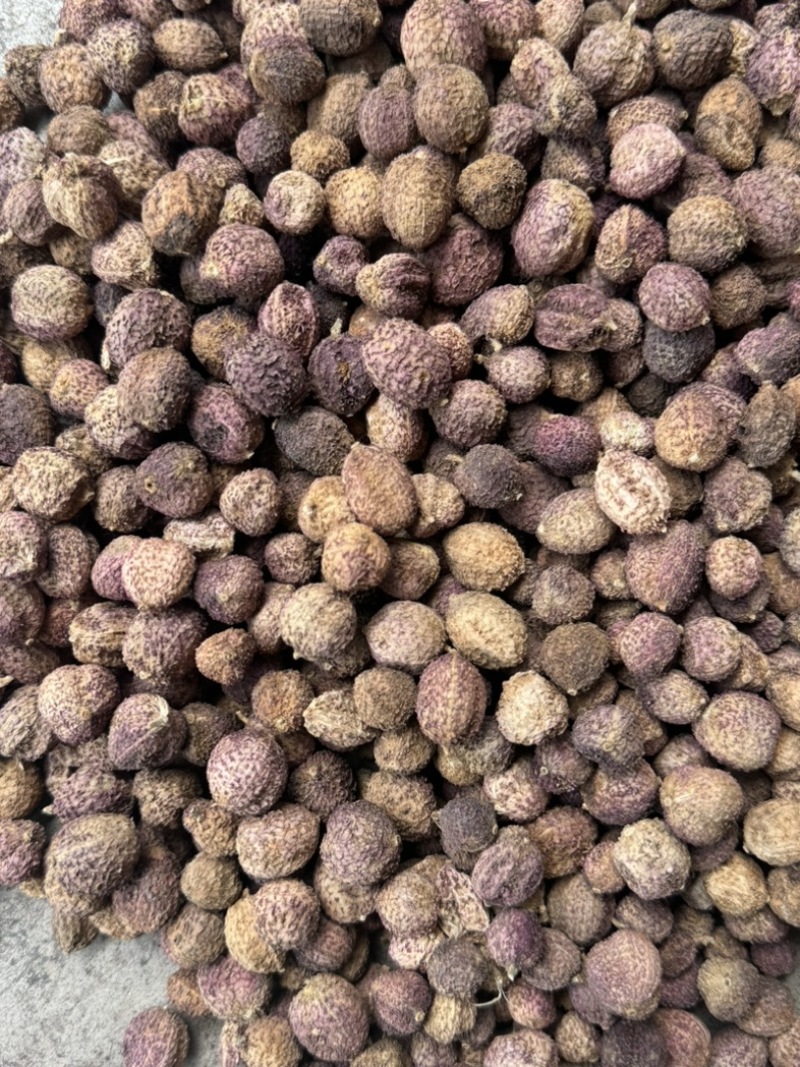 阳春砂仁干货批发零售各种规格，质量很好……