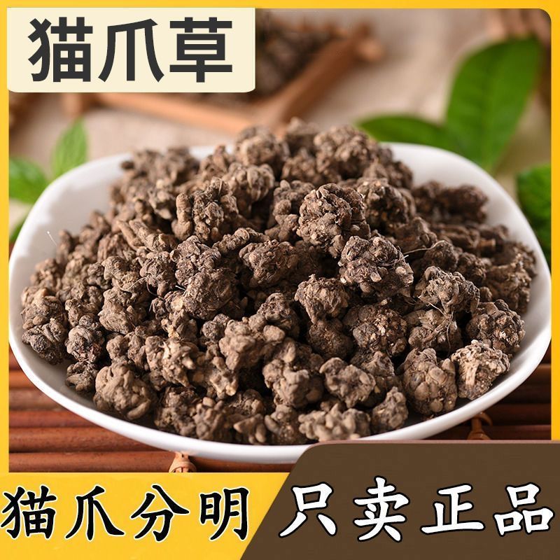 水洗干净猫爪草猫爪草新鲜食用猫抓草河南猫爪草