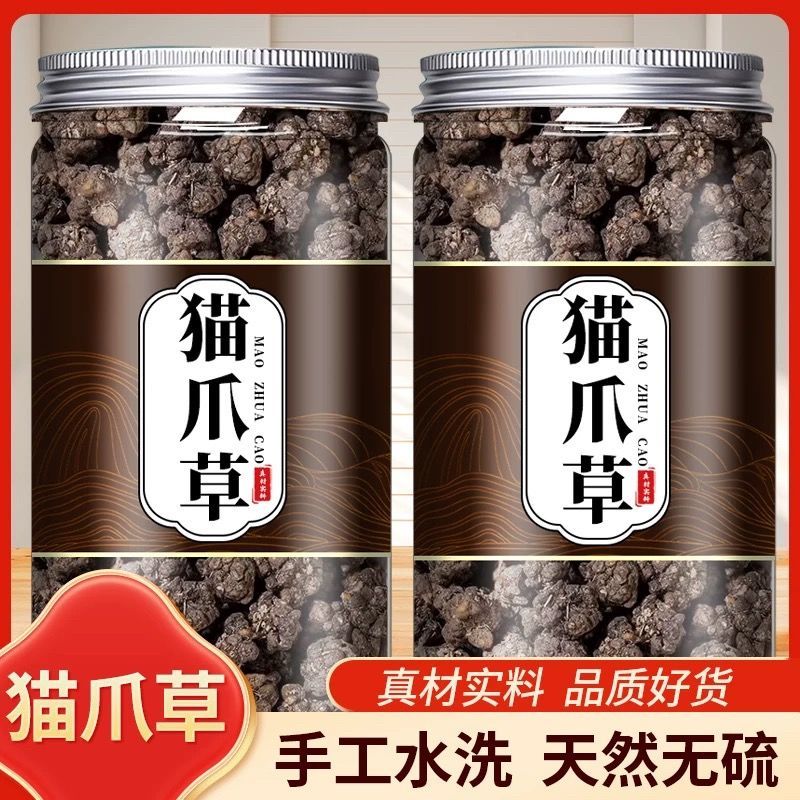 水洗干净猫爪草猫爪草新鲜食用猫抓草河南猫爪草