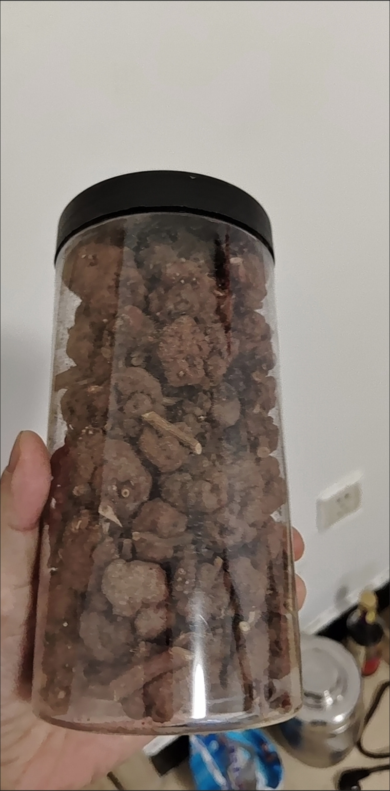 水洗干净猫爪草猫爪草新鲜食用猫抓草河南猫爪草