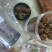 水洗干净猫爪草猫爪草新鲜食用猫抓草河南猫爪草