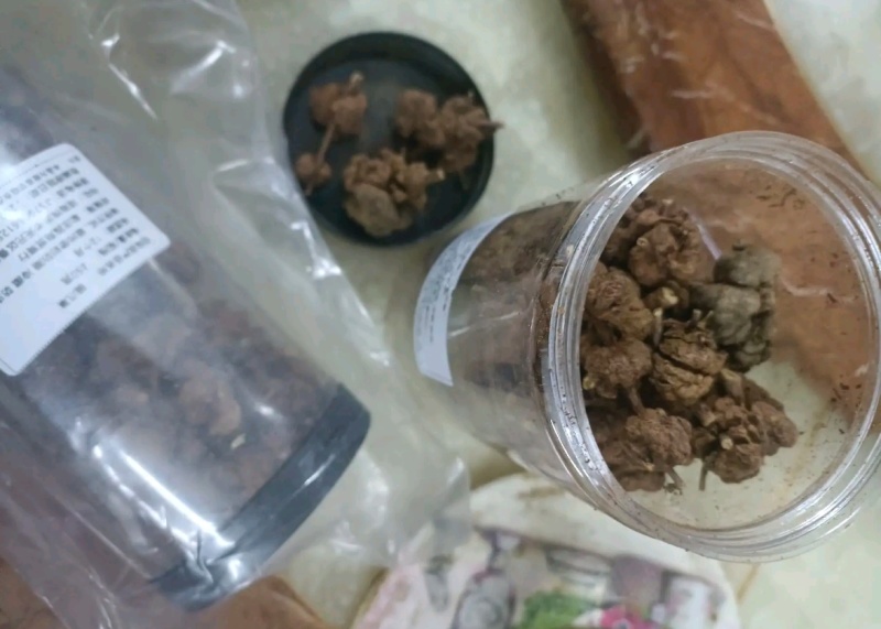 水洗干净猫爪草猫爪草新鲜食用猫抓草河南猫爪草