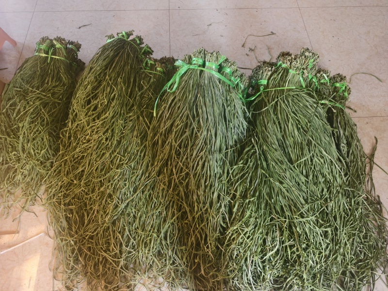 云南大理贡菜产区需要联系产地直发脆嘎嘎脆