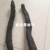 肉苁蓉，内蒙阿拉善产15/25公分左右关书药业