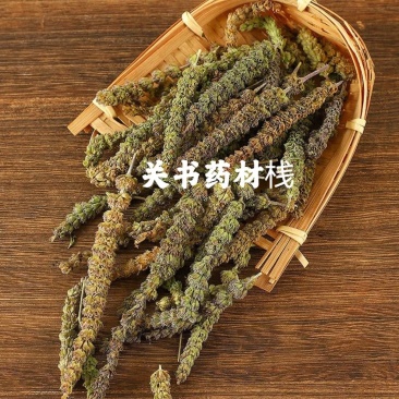 荆芥穗新货选规格齐全关书药材批发中药材