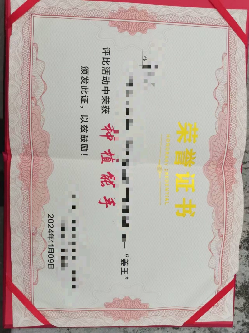 大黄姜黄心姜富含多种有益物质，主要成分有姜黄素，纤维素