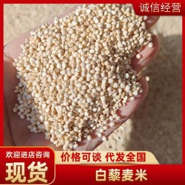 青海白藜麦米大量批发产地直发支持一件代发