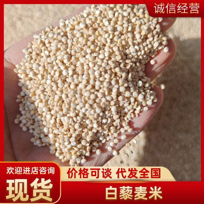青海白藜麦米大量批发产地直发支持一件代发