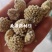 绿萝花，选新货颜色好关书药材桟批发中药