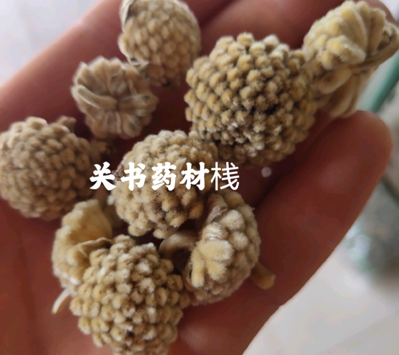 绿萝花，选新货颜色好关书药材桟批发中药