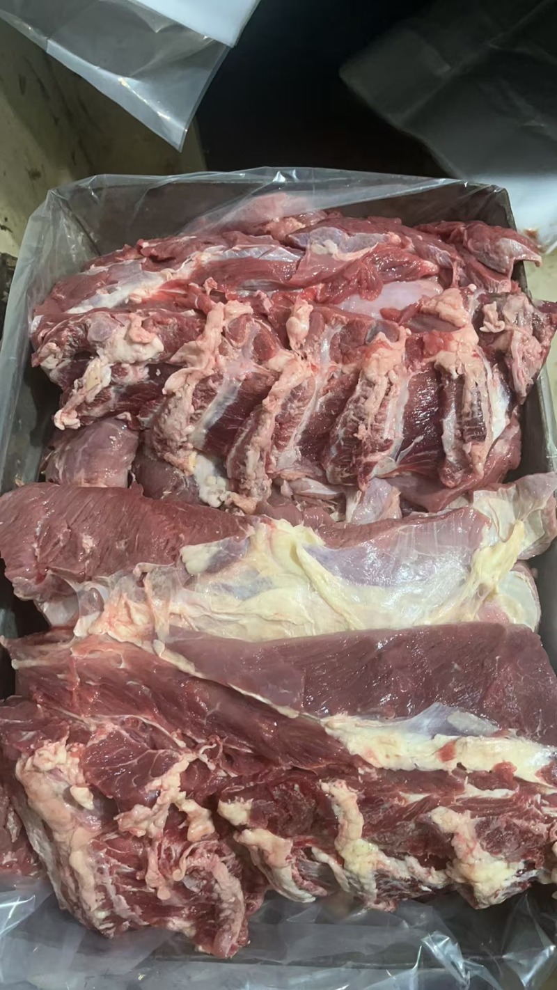 牛前-牛腩-牛烩趴-牛尾龙趴-牛针趴