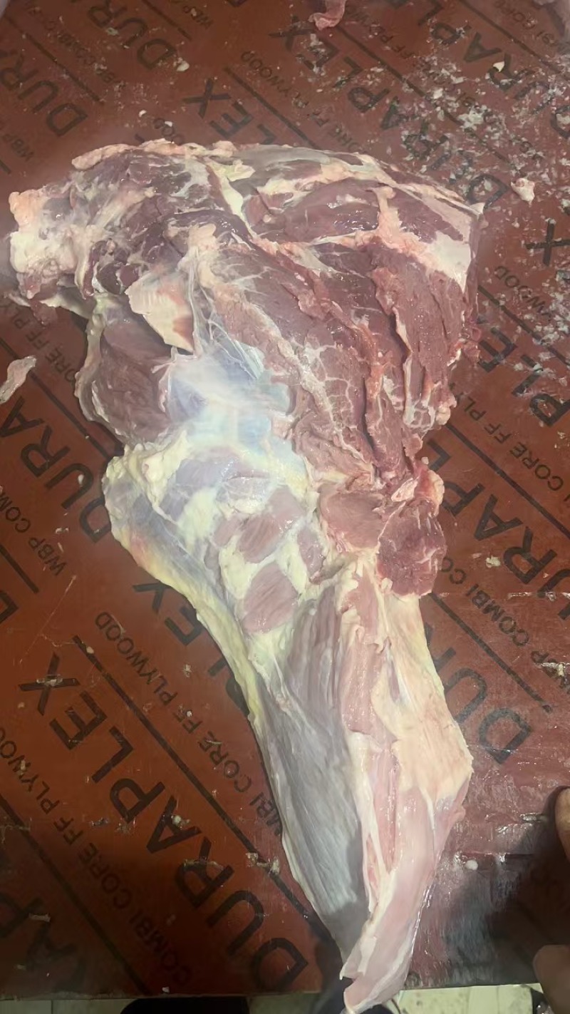 牛前-牛腩-牛烩趴-牛尾龙趴-牛针趴