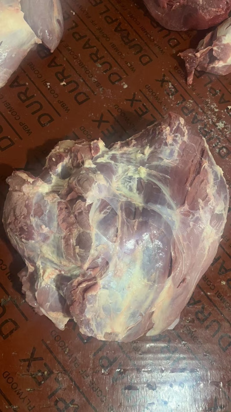 牛前-牛腩-牛烩趴-牛尾龙趴-牛针趴