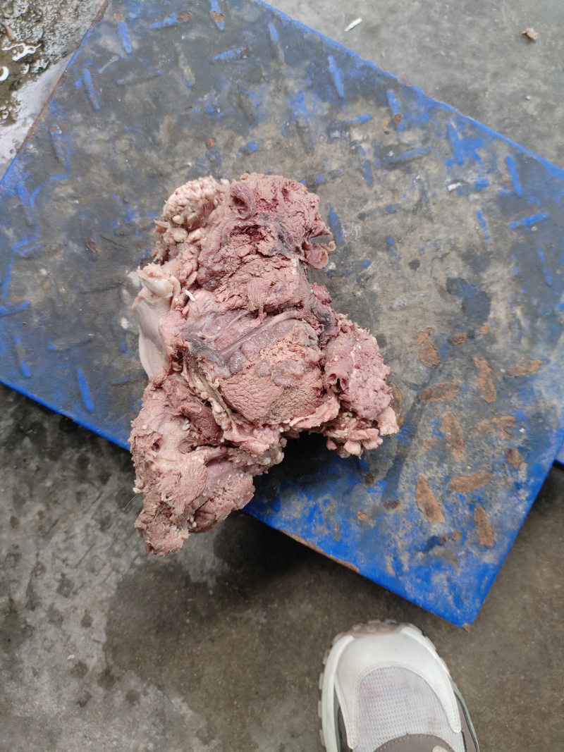 牛肉