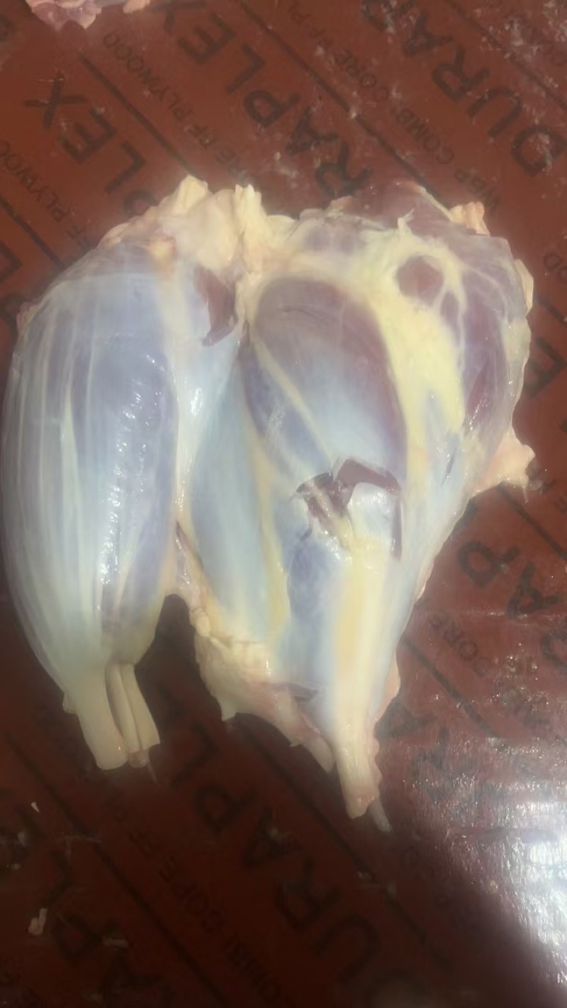 牛腱子、牛前腱、牛后腱、牛龟腱，牛金钱腱