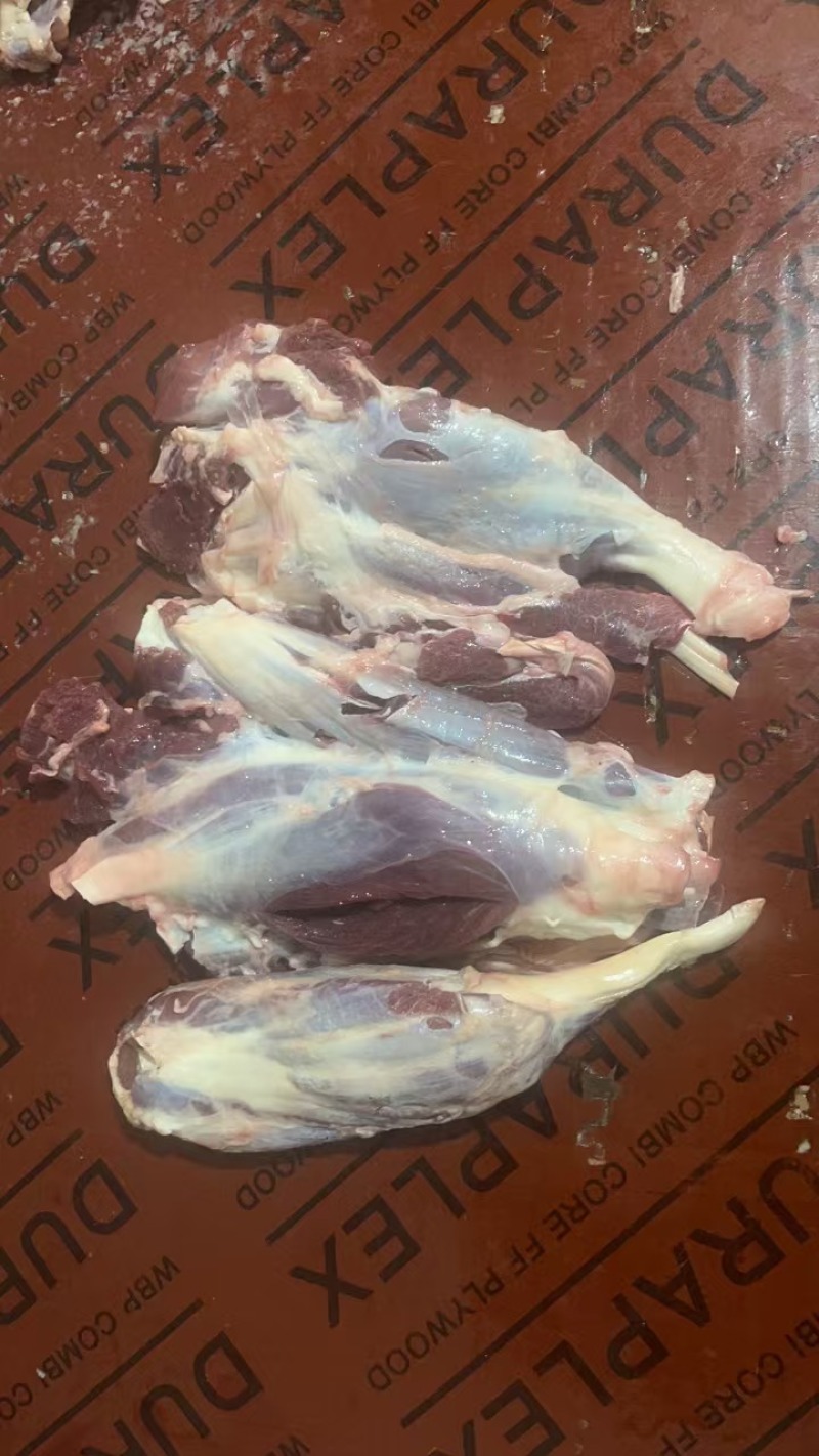 牛腱子、牛前腱、牛后腱、牛龟腱，牛金钱腱