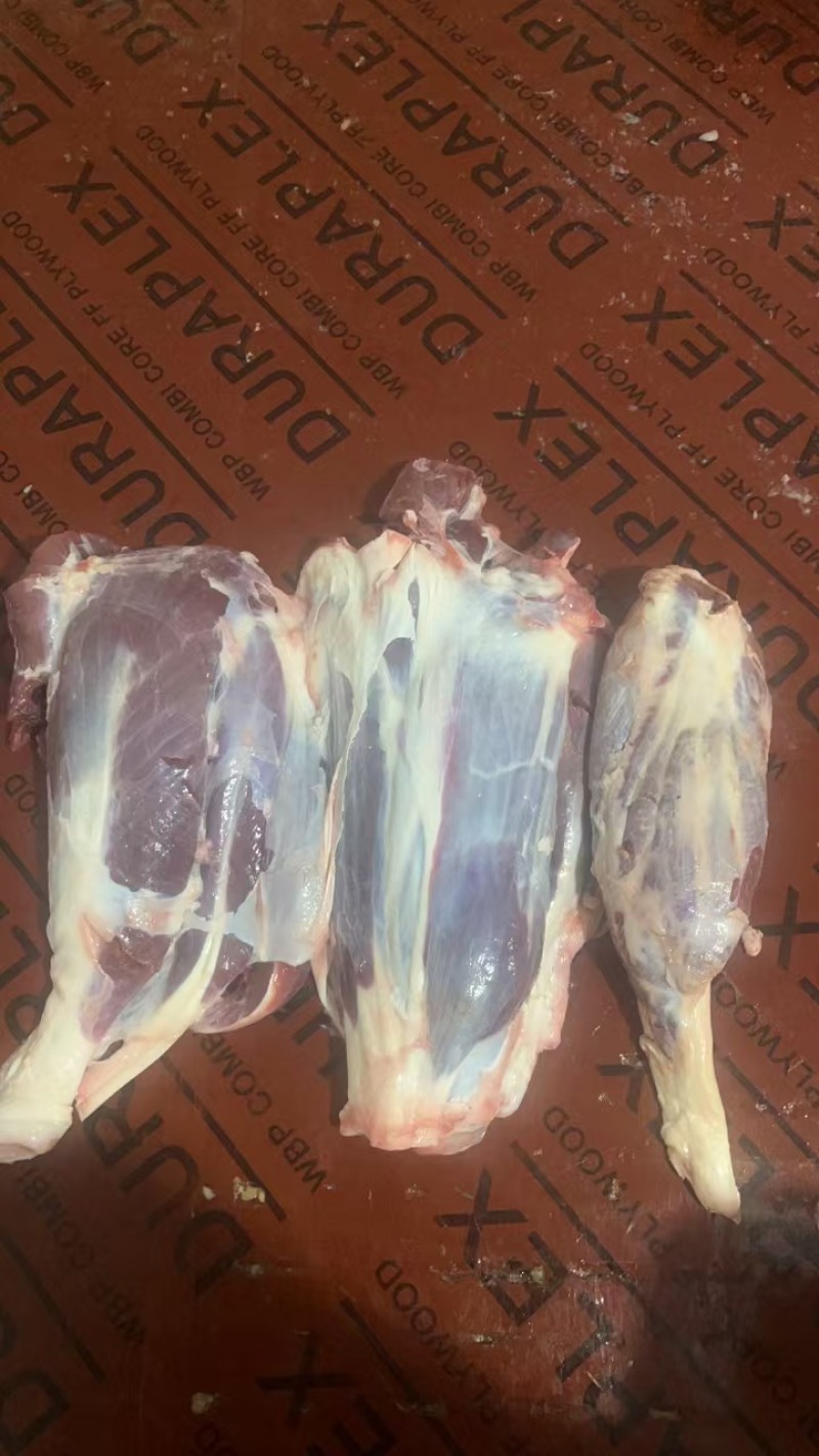 牛腱子、牛前腱、牛后腱、牛龟腱，牛金钱腱