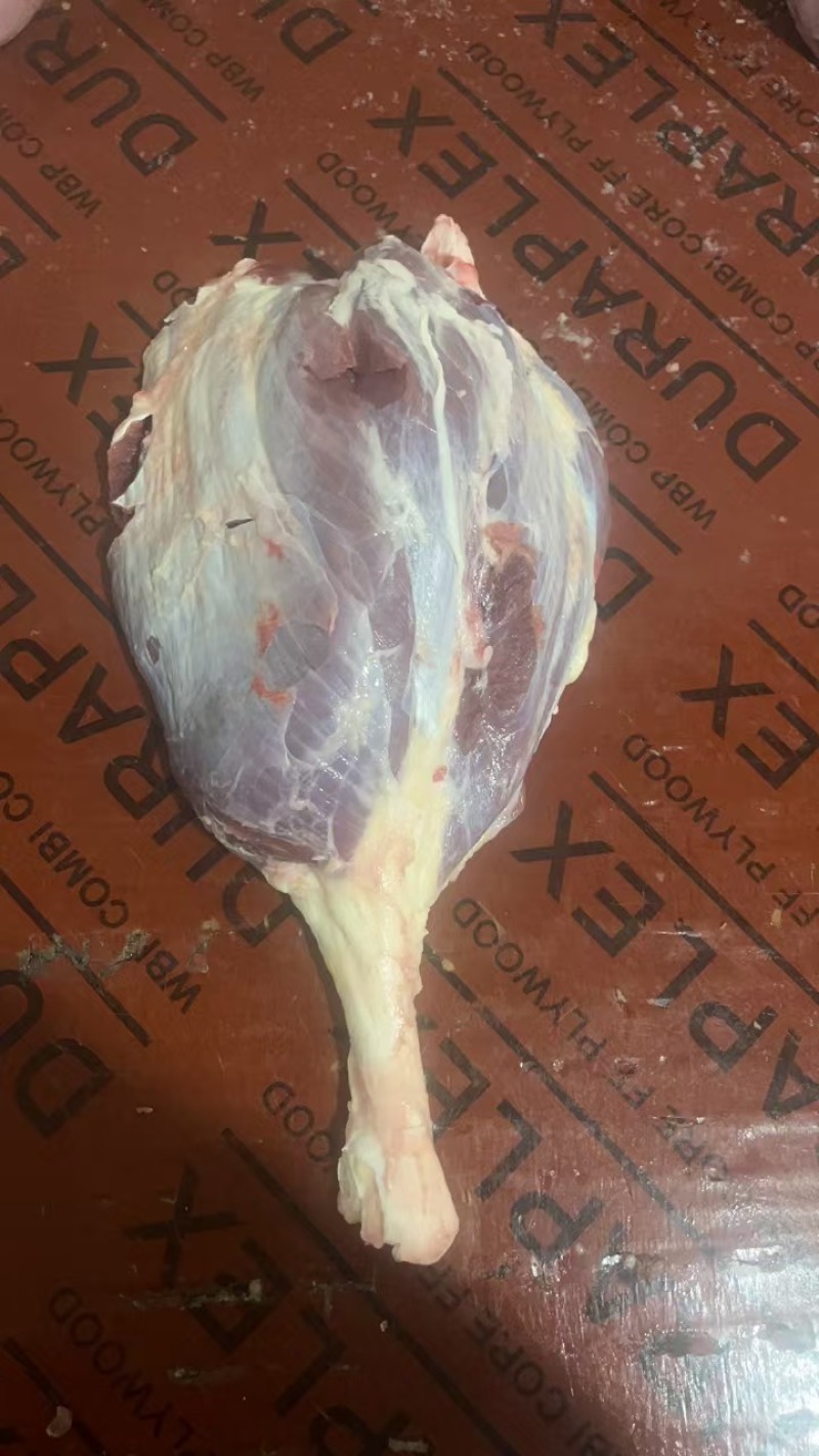 牛腱子、牛前腱、牛后腱、牛龟腱，牛金钱腱
