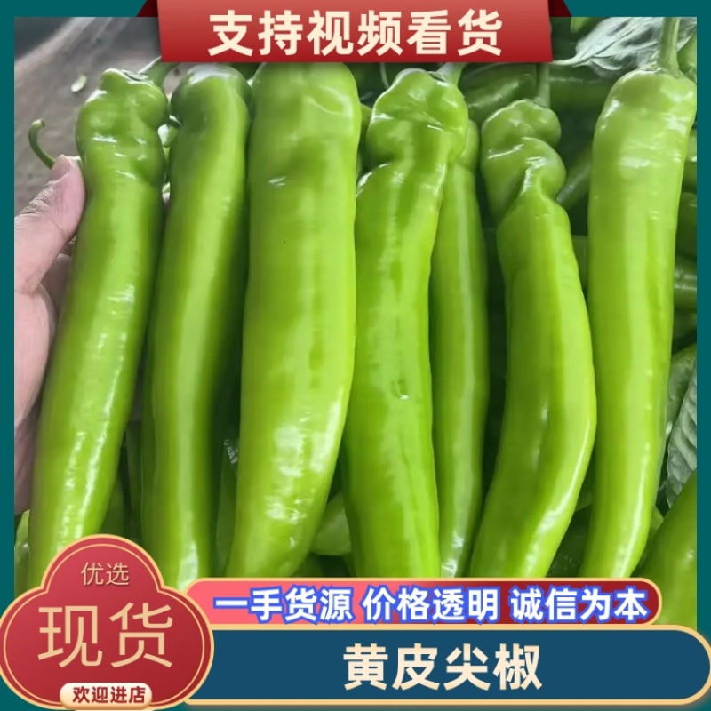 推荐精品黄皮尖椒产地直发量大价优品保障